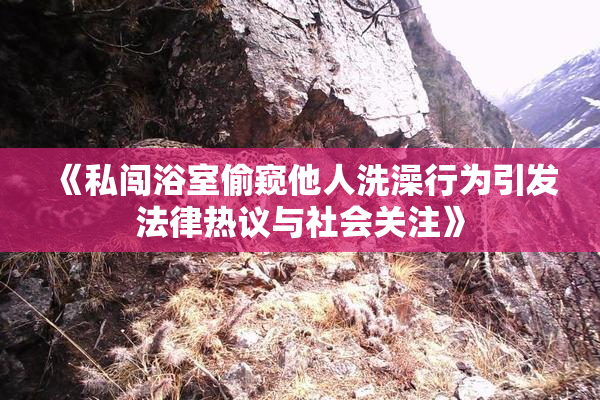 《私闯浴室偷窥他人洗澡行为引发法律热议与社会关注》
