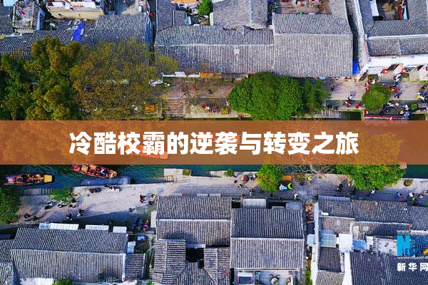 冷酷校霸的逆袭与转变之旅
