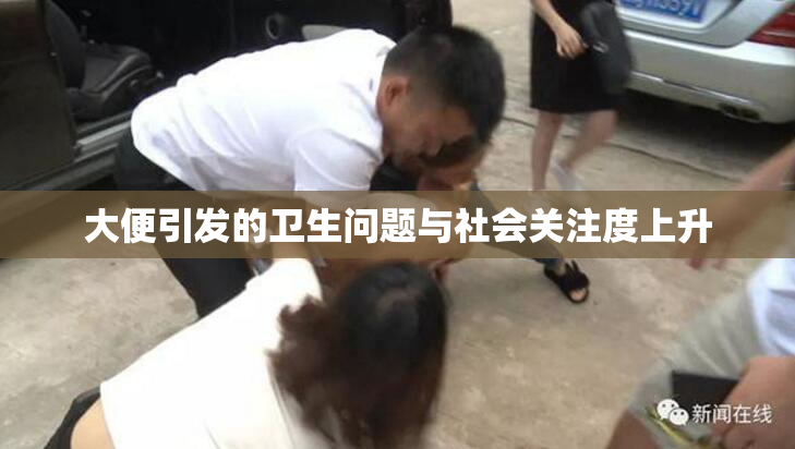 大便引发的卫生问题与社会关注度上升