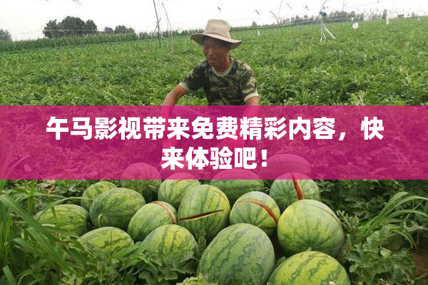 午马影视带来免费精彩内容，快来体验吧！