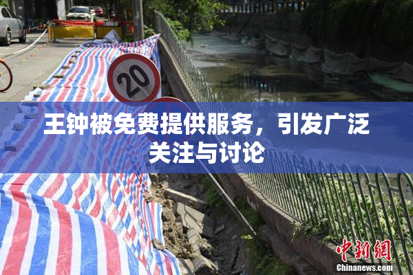 王钟被免费提供服务，引发广泛关注与讨论