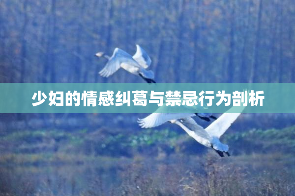 少妇的情感纠葛与禁忌行为剖析