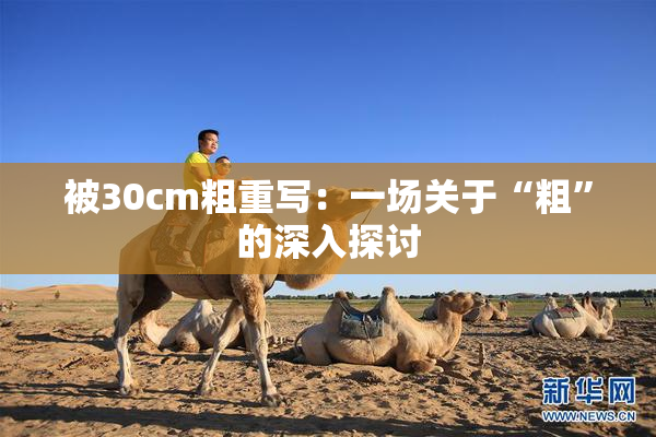 被30cm粗重写：一场关于“粗”的深入探讨
