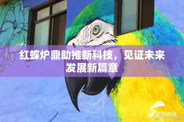红蝶炉鼎助推新科技，见证未来发展新篇章