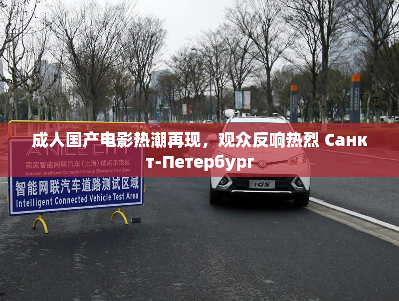 成人国产电影热潮再现，观众反响热烈 Санкт-Петербург