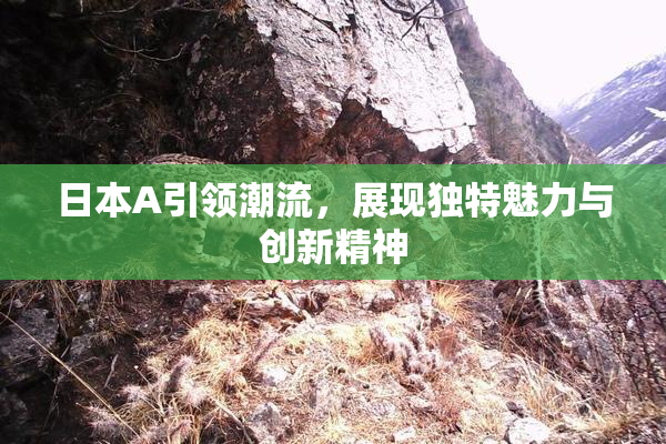 日本A引领潮流，展现独特魅力与创新精神