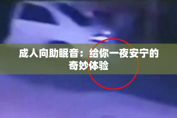成人向助眠音：给你一夜安宁的奇妙体验