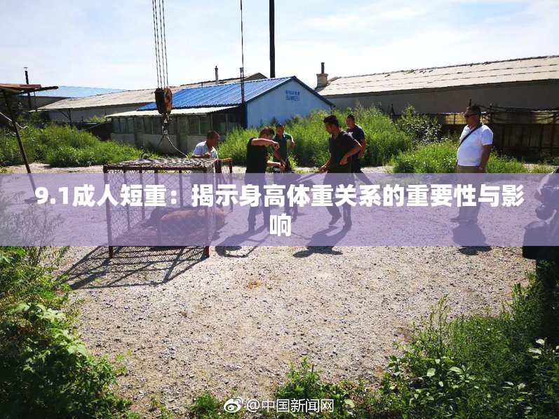 9.1成人短重：揭示身高体重关系的重要性与影响