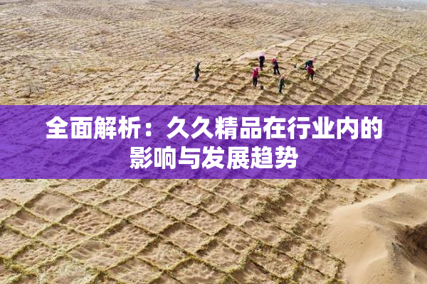 全面解析：久久精品在行业内的影响与发展趋势