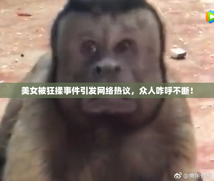 美女被狂揉事件引发网络热议，众人咋呼不断！