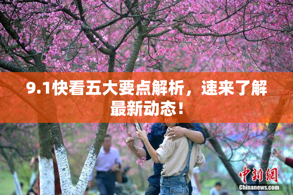 9.1快看五大要点解析，速来了解最新动态！