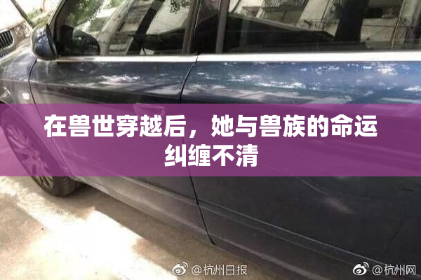 在兽世穿越后，她与兽族的命运纠缠不清