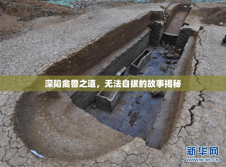 深陷禽兽之道，无法自拔的故事揭秘