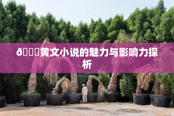 🔞黄文小说的魅力与影响力探析