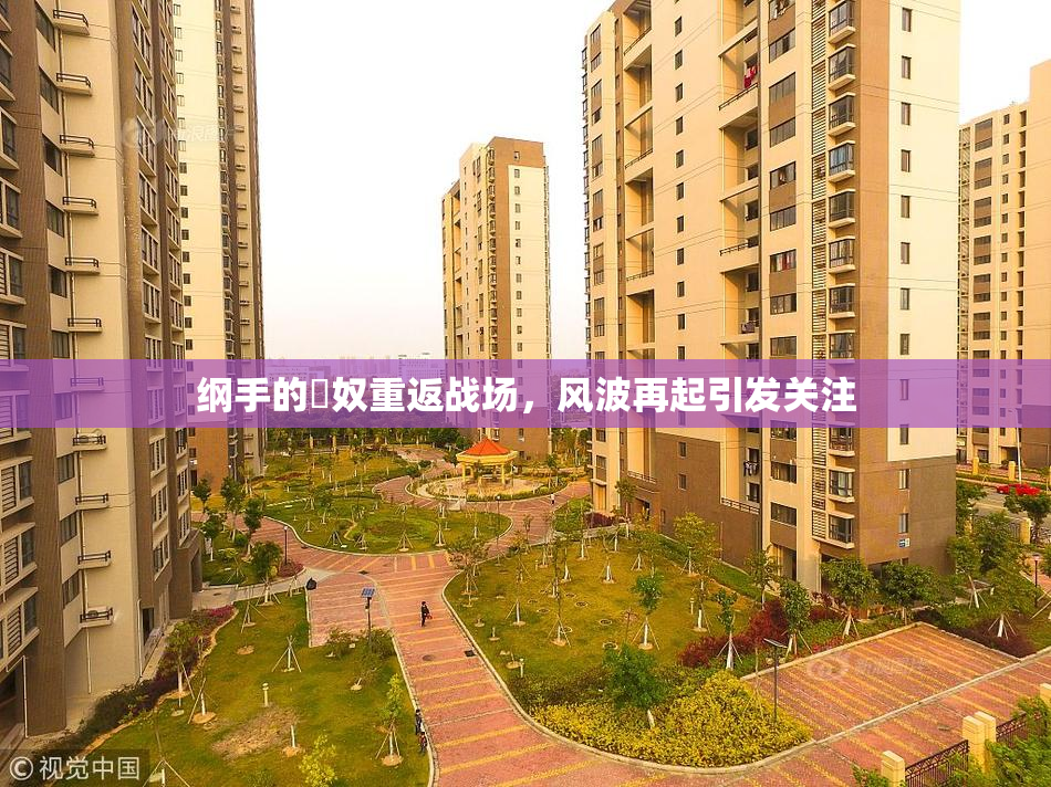 纲手的婬奴重返战场，风波再起引发关注