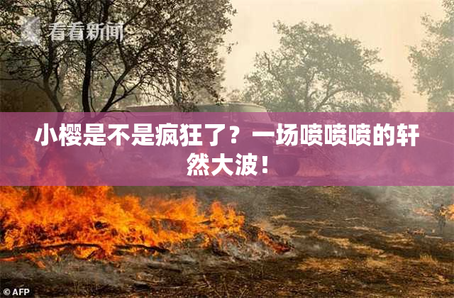 小樱是不是疯狂了？一场喷喷喷的轩然大波！