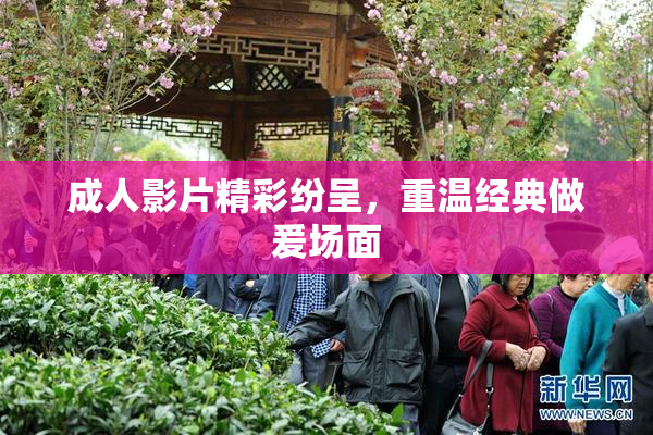 成人影片精彩纷呈，重温经典做爰场面