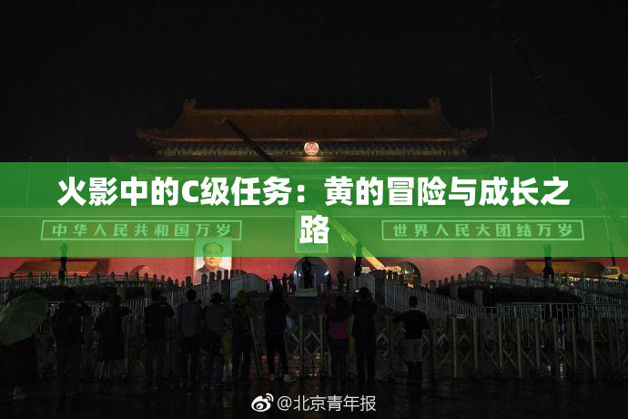 火影中的C级任务：黄的冒险与成长之路