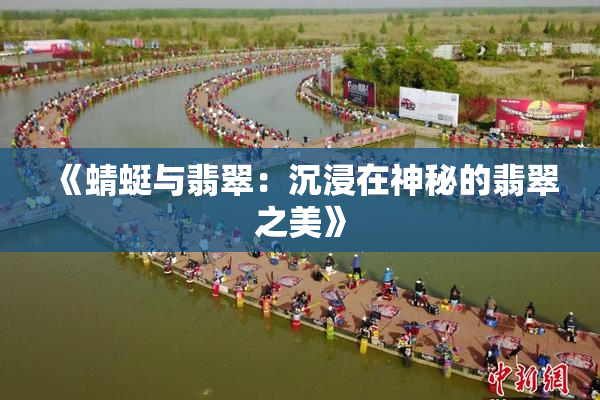 《蜻蜓与翡翠：沉浸在神秘的翡翠之美》