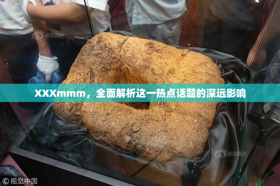 XXXmmm，全面解析这一热点话题的深远影响