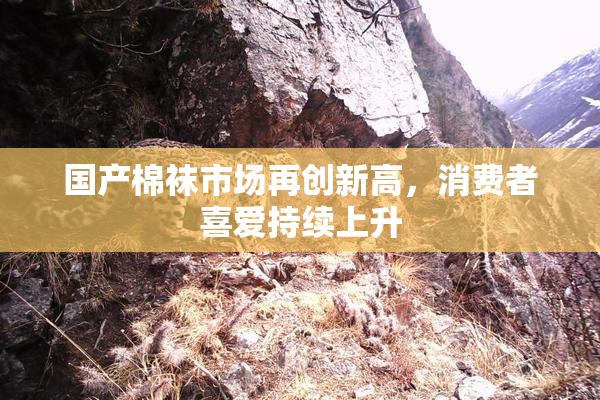 国产棉袜市场再创新高，消费者喜爱持续上升