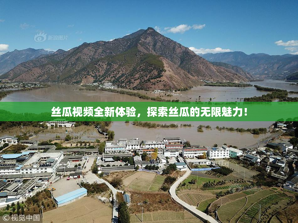 丝瓜视频全新体验，探索丝瓜的无限魅力！