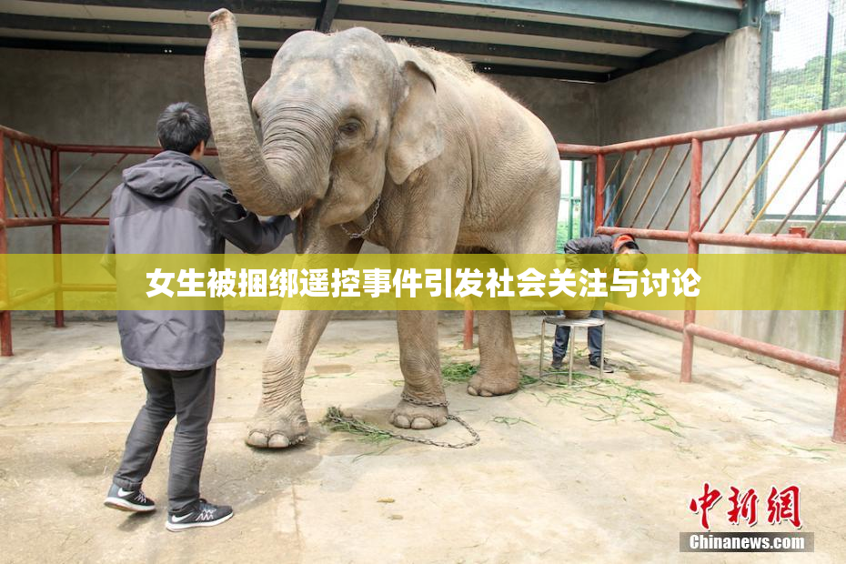 女生被捆绑遥控事件引发社会关注与讨论