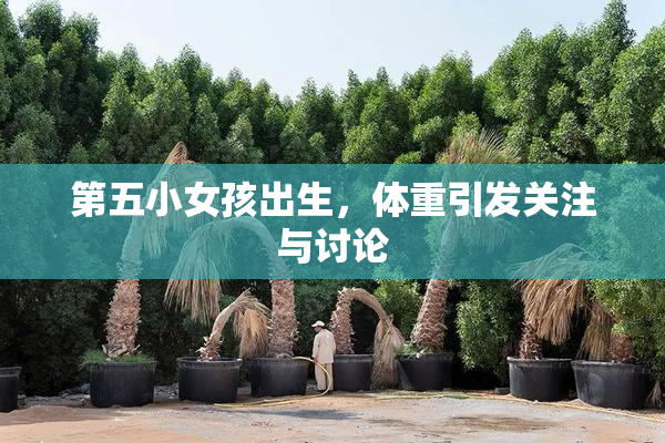 第五小女孩出生，体重引发关注与讨论
