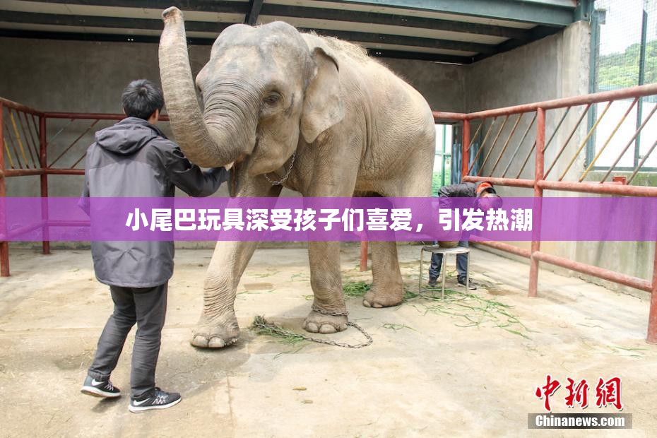 小尾巴玩具深受孩子们喜爱，引发热潮