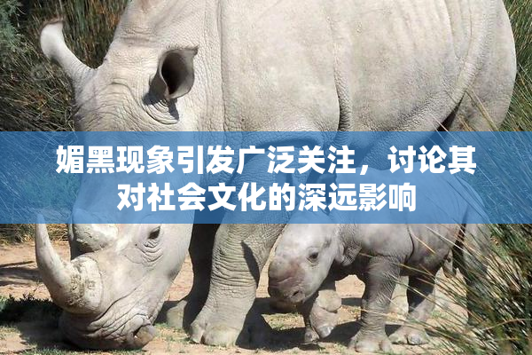 媚黑现象引发广泛关注，讨论其对社会文化的深远影响