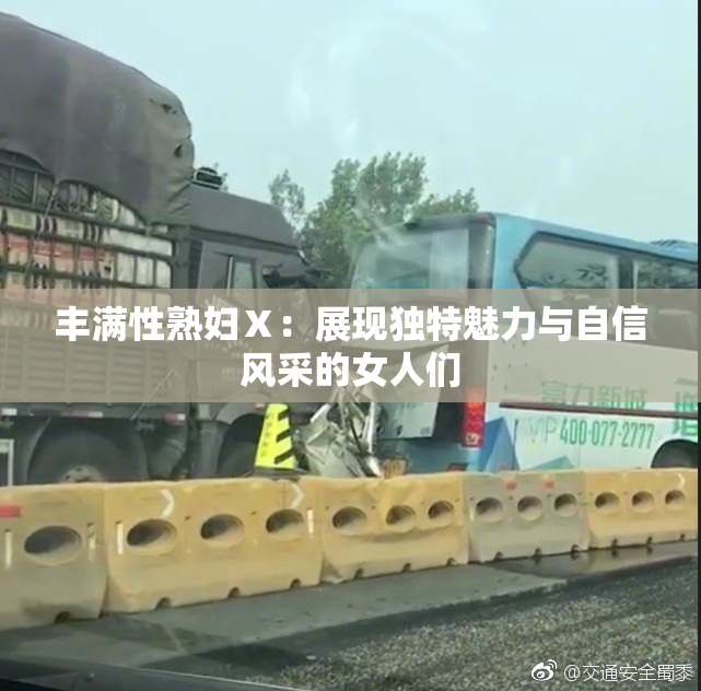 丰满性熟妇Ⅹ：展现独特魅力与自信风采的女人们