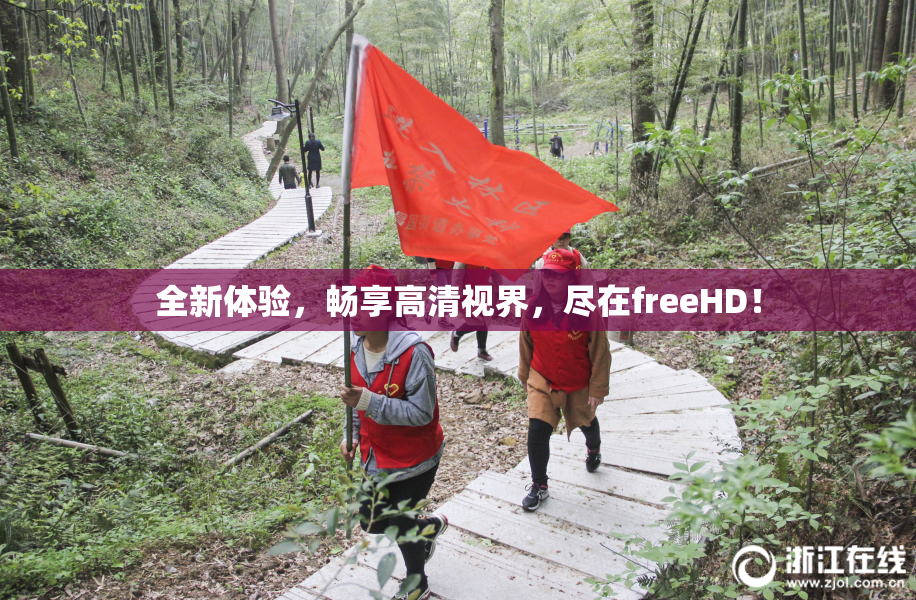 全新体验，畅享高清视界，尽在freeHD！