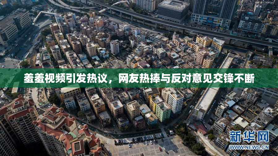 羞羞视频引发热议，网友热捧与反对意见交锋不断