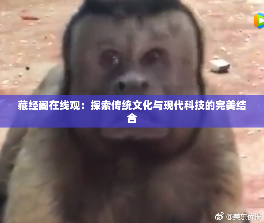 藏经阁在线观：探索传统文化与现代科技的完美结合