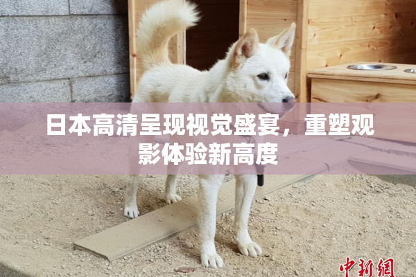 日本高清呈现视觉盛宴，重塑观影体验新高度