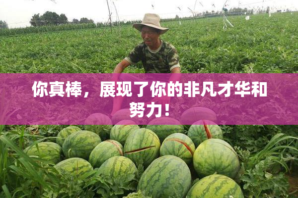 你真棒，展现了你的非凡才华和努力！