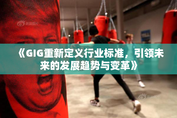 《GIG重新定义行业标准，引领未来的发展趋势与变革》