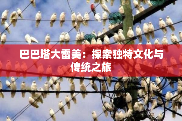 巴巴塔大雷美：探索独特文化与传统之旅