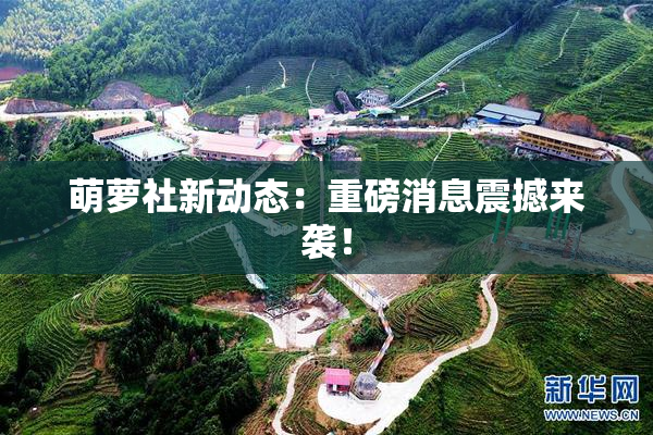 萌萝社新动态：重磅消息震撼来袭！