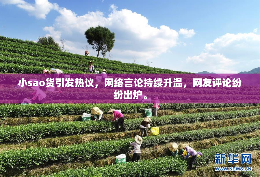 小sao货引发热议，网络言论持续升温，网友评论纷纷出炉。