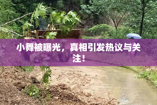 小舞被曝光，真相引发热议与关注！