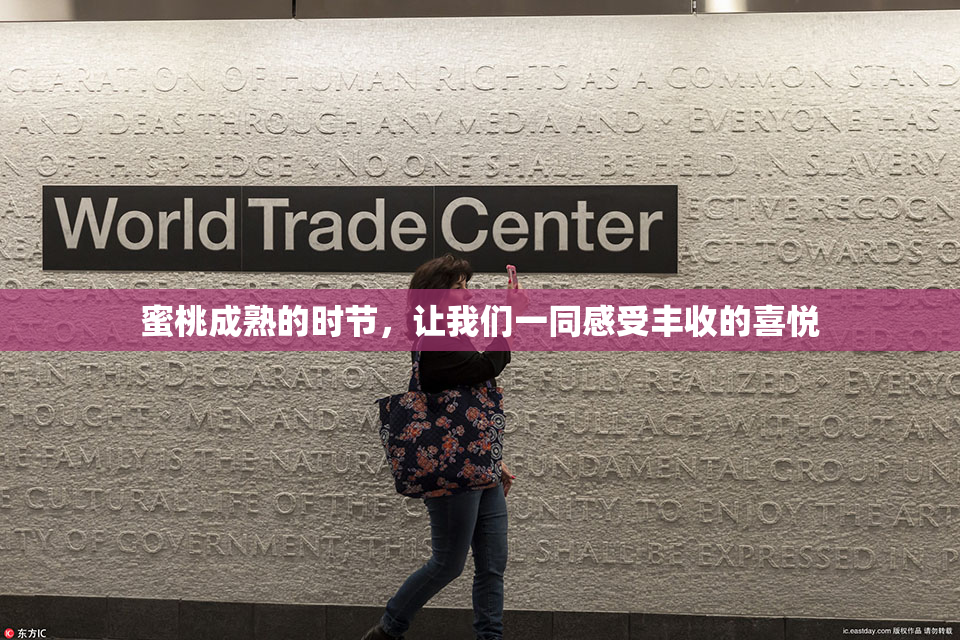 蜜桃成熟的时节，让我们一同感受丰收的喜悦