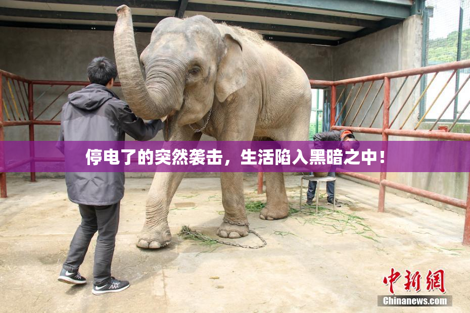 停电了的突然袭击，生活陷入黑暗之中！