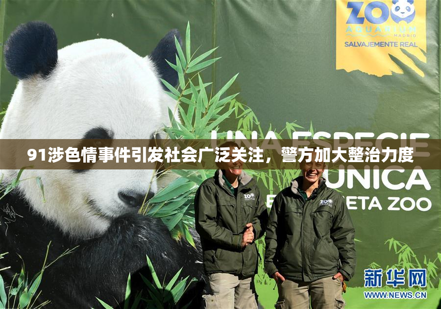 91涉色情事件引发社会广泛关注，警方加大整治力度