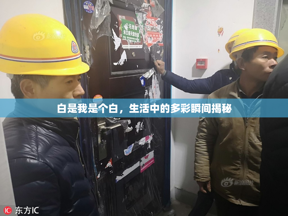 白是我是个白，生活中的多彩瞬间揭秘