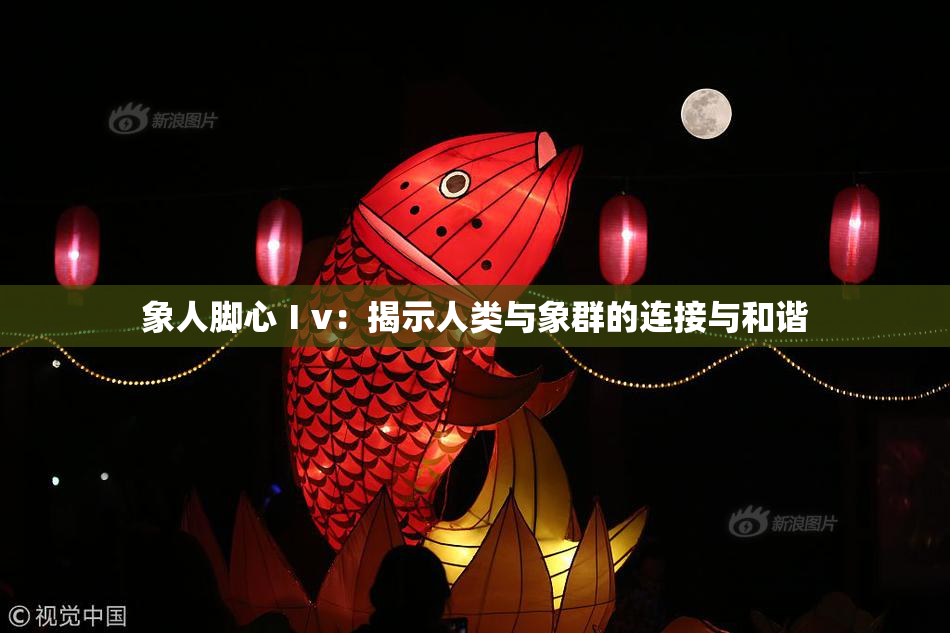 象人脚心Ⅰv：揭示人类与象群的连接与和谐