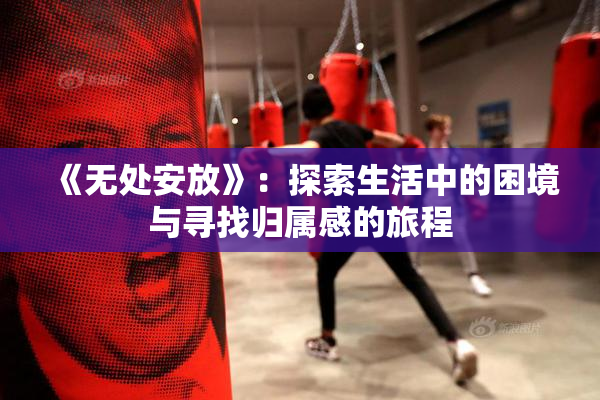 《无处安放》：探索生活中的困境与寻找归属感的旅程