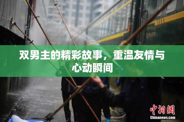 双男主的精彩故事，重温友情与心动瞬间