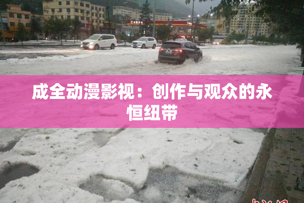 成全动漫影视：创作与观众的永恒纽带