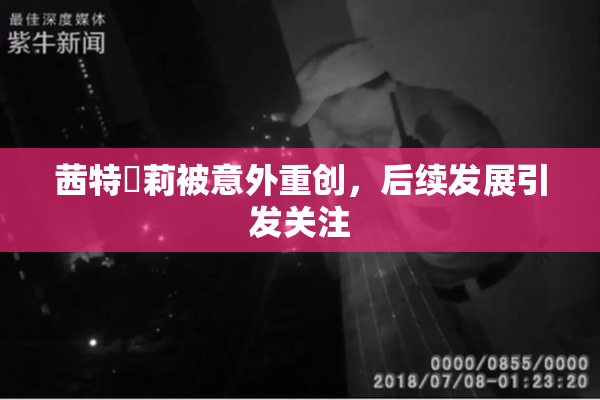 茜特菈莉被意外重创，后续发展引发关注